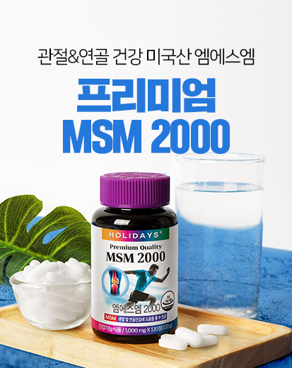 MSM 2000