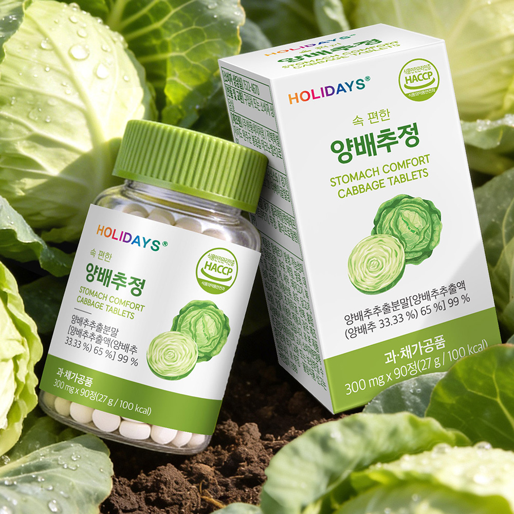 속 편한 양배추정